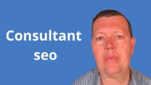 Consultant seo